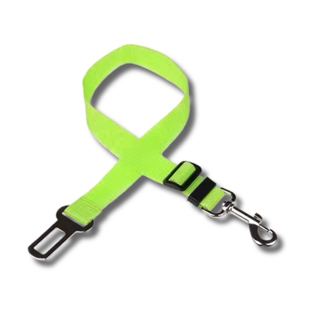 Cinturón de seguridad para perros en el coche