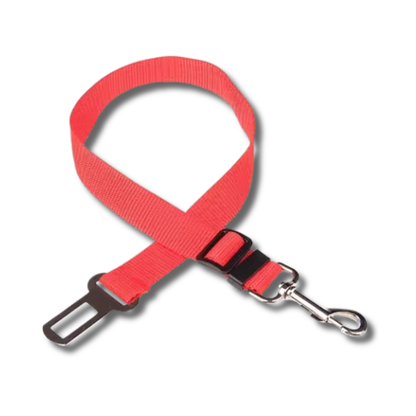 Cinturón de seguridad para perros en el coche