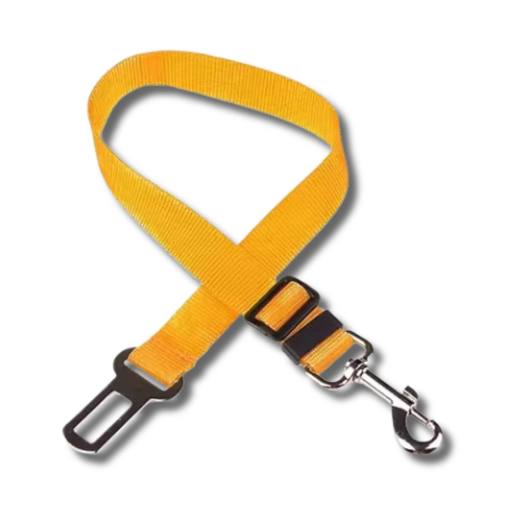 Cinturón de seguridad para perros en el coche