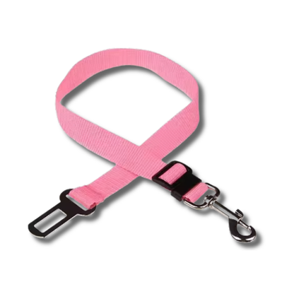 Cinturón de seguridad para perros en el coche