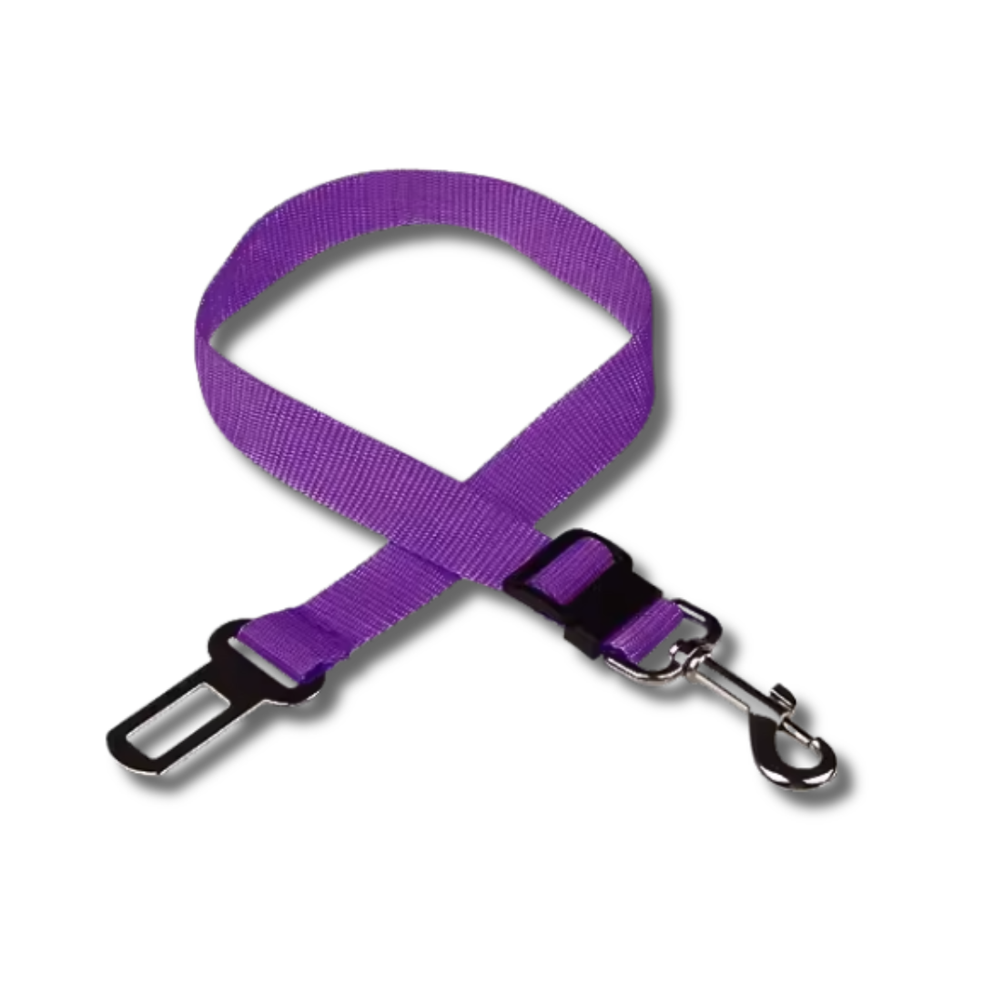 Cinturón de seguridad para perros en el coche