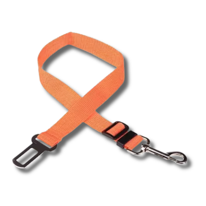 Cinturón de seguridad para perros en el coche