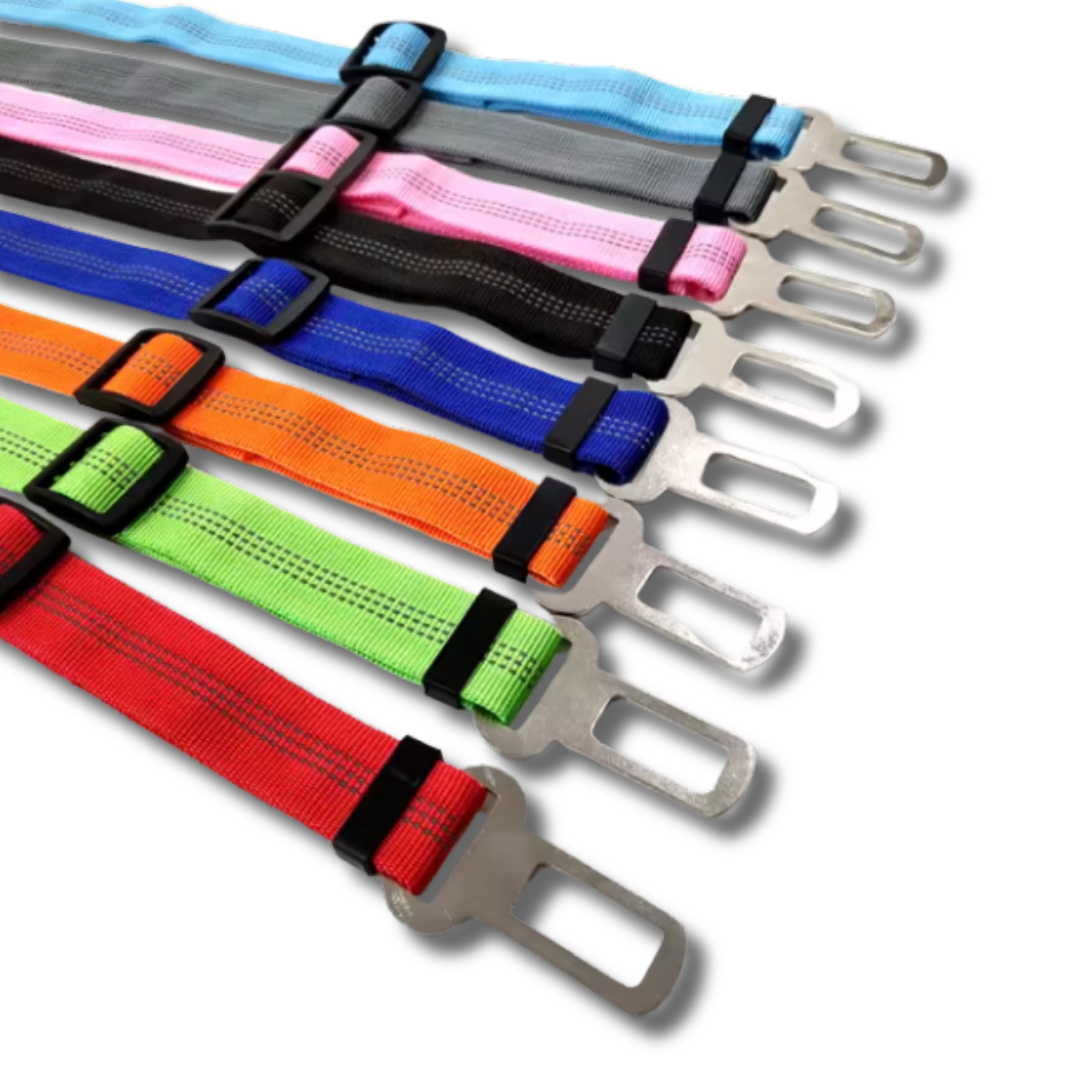 Cinturón de seguridad para perros en el coche