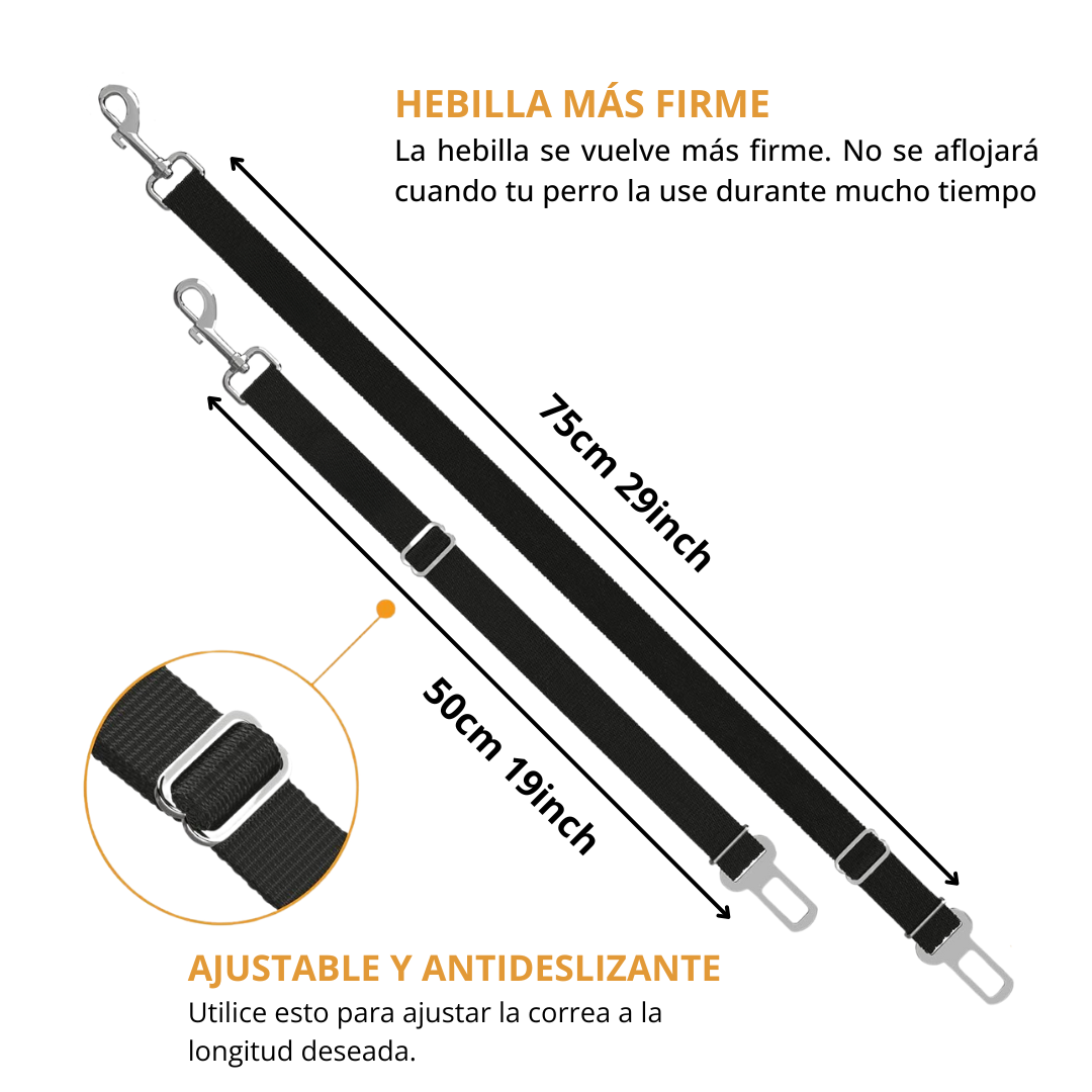 Cinturón de seguridad para perros en el coche