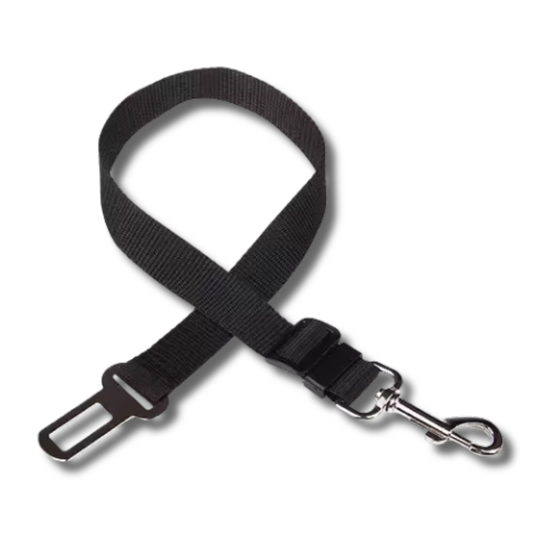 Cinturón de seguridad para perros en el coche