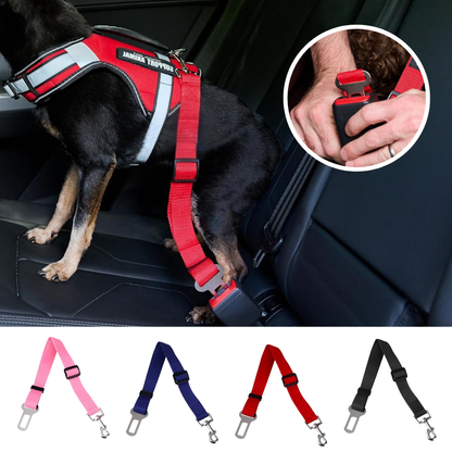 Cinturón de seguridad para perros en el coche