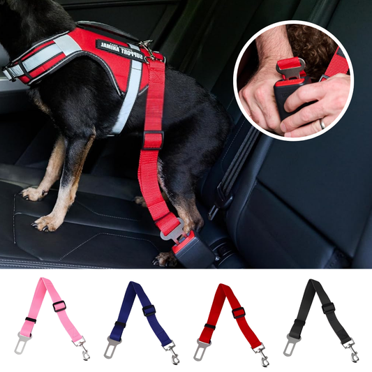 Cinturón de seguridad para perros en el coche