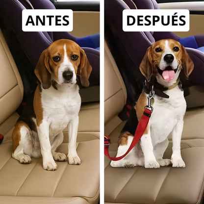 Cinturón de seguridad para perros en el coche